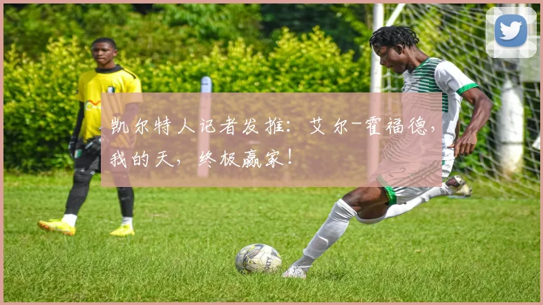 凯尔特人记者发推：艾尔-霍福德，我的天，终极赢家！