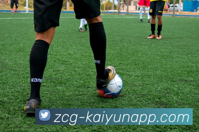 开云APP 高清赛事图